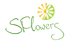 SFlowers - Город Санкт-Петербург logo.gif