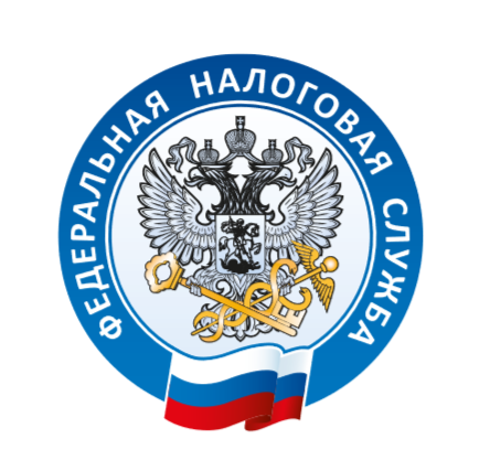 Избежать приостановки операций по счетам  поможет сервис ФНС России  fns.png