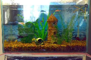 Продается аквариум 60 литров Город Уфа