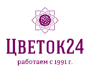 Цветок 24 - Доставка цветов в Красноярске - Город Красноярск