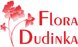 Интернет-магазин доставки цветов «Flora Dudinka» - Город Дудинка
