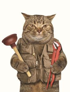 Сантехнические работы в Уфе plumber-cat.jpg