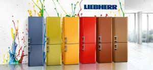 Профессиональный, быстрый и недорогой ремонт холодильников «Liebherr» Либхер Ремонт.jpg
