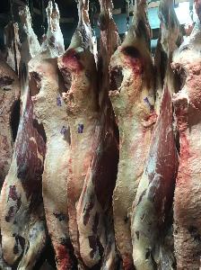 Мясо в Южно-Сахалинске говядина туша.jpg