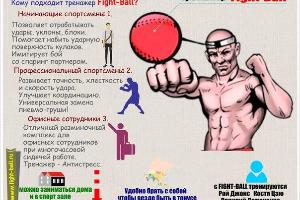 Боксерский тренажер для нокаутирующего удара Fight-Ball Город Москва